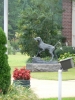 PICTURES/National Bird Dog Museum/t_Bird Dog Statue2.JPG